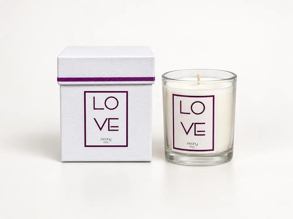 Custom Fashionable Home Scented Candles in Glass with Gift Box