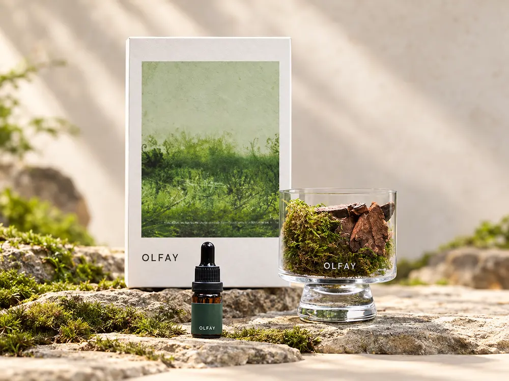 Moss Inspired Aroma Stone Gift Set