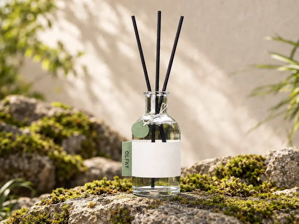Moss Scent Reed Diffuser in Clear Glass
